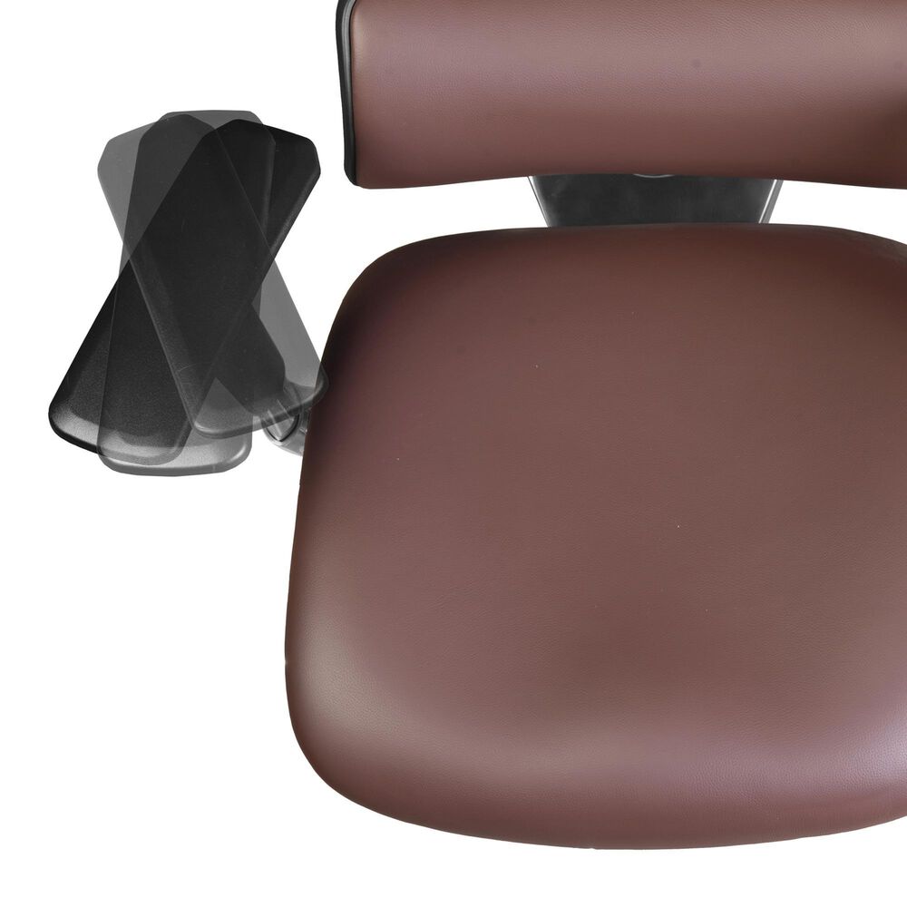 Regency Global Sourcing Omega Ergonomic Executive Office Chair in Chocolate, , large