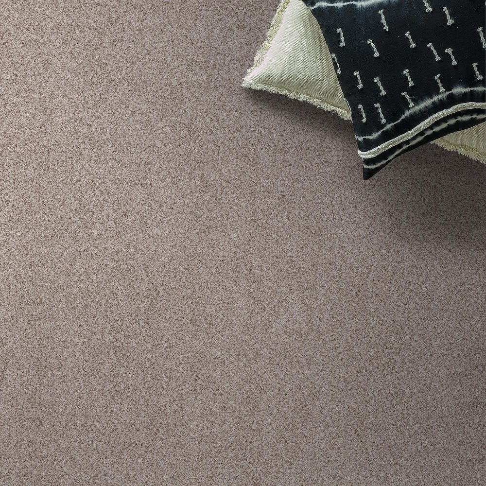 Anderson Tuftex Sumptuous II Carpet in Granite Dust, , large