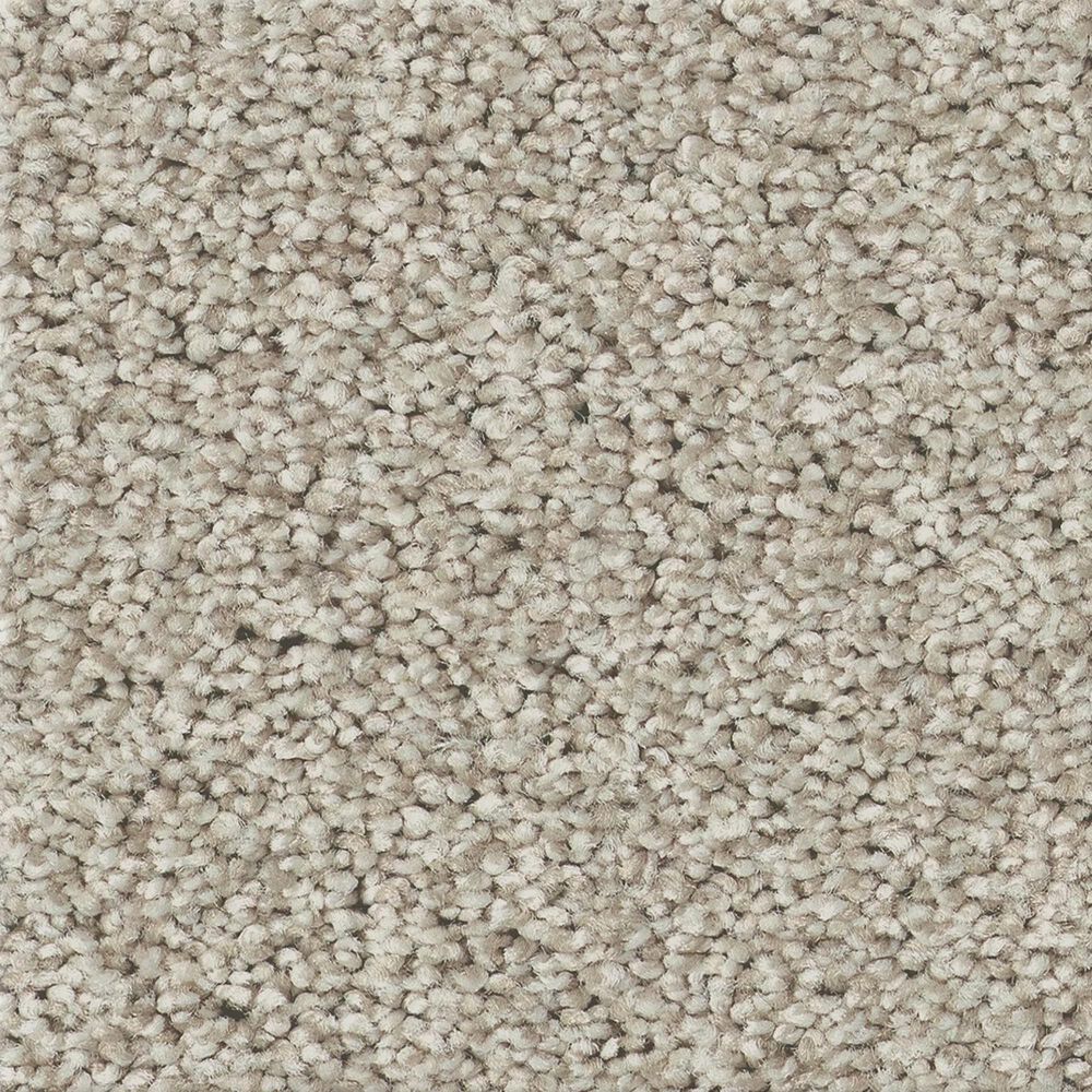 Shaw Tonal Comfort II Carpet in Need A Hug, , large