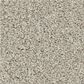 Shaw Tonal Comfort II Carpet in Need A Hug, , large