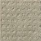 Shaw Detailed Elegance Patterned Carpet in Ash, , large