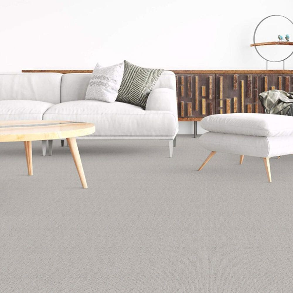 Dixie Home Worthington Carpet in Cast, , large