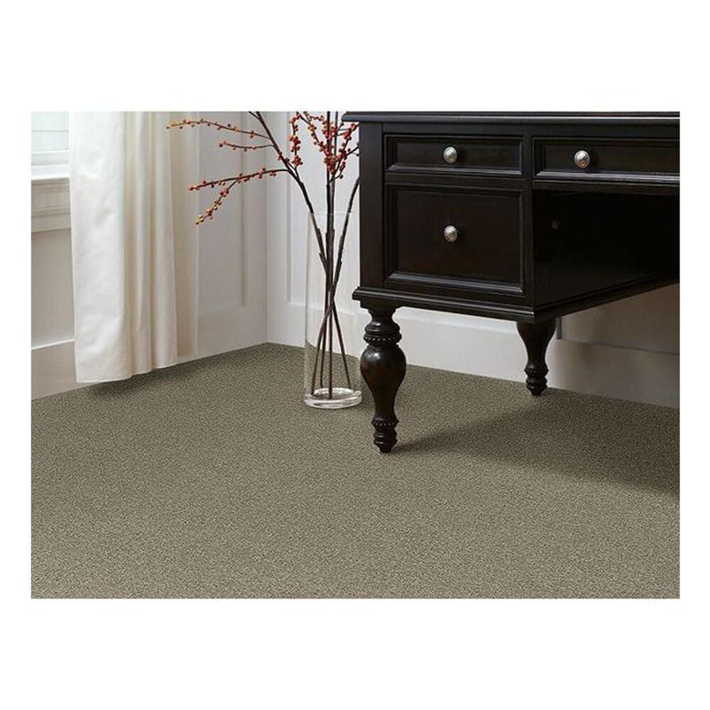 Shaw Phenomenal Carpet in Gray Flannel, , large