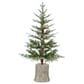 The Gerson Company 3" Potted Pre-Lit Artificial Frosted Pine with White Lights in Green, , large