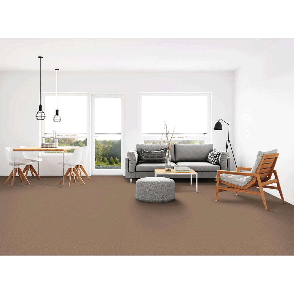 Dixie Home Neverland Carpet in Edgewood, , large