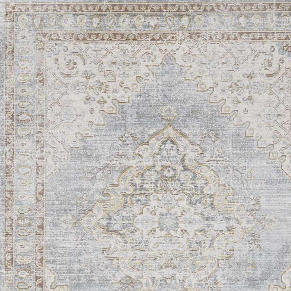 Amer Rugs Century 3&#39;11&quot; x 5&#39;11&quot; Gray and Ivory Area Rug, , large