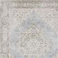 Amer Rugs Century 3"11" x 5"11" Gray and Ivory Area Rug, , large