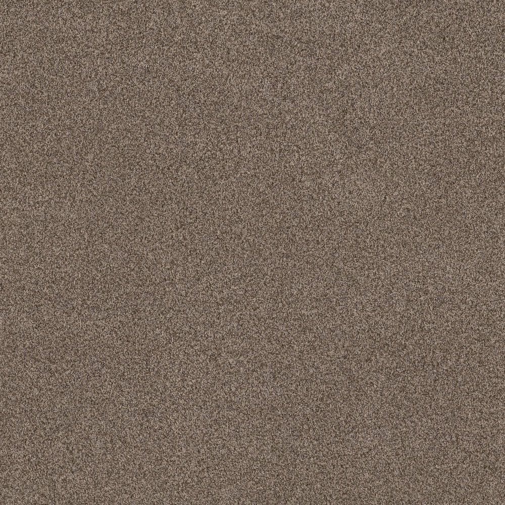 Anderson Tuftex Terra Nova Carpet in Palm Desert, , large