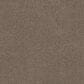 Anderson Tuftex Terra Nova Carpet in Palm Desert, , large