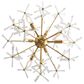 Golden Lighting Dandelion 6-Light Chandelier in Matte Gold, , large