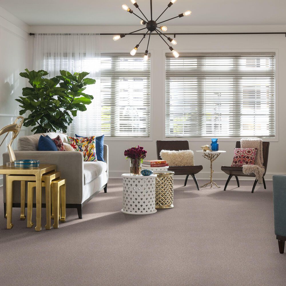Shaw Find Your Comfort TT I Carpet in Evening in Paris, , large