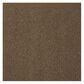 Shaw Primus Carpet in In Front, , large
