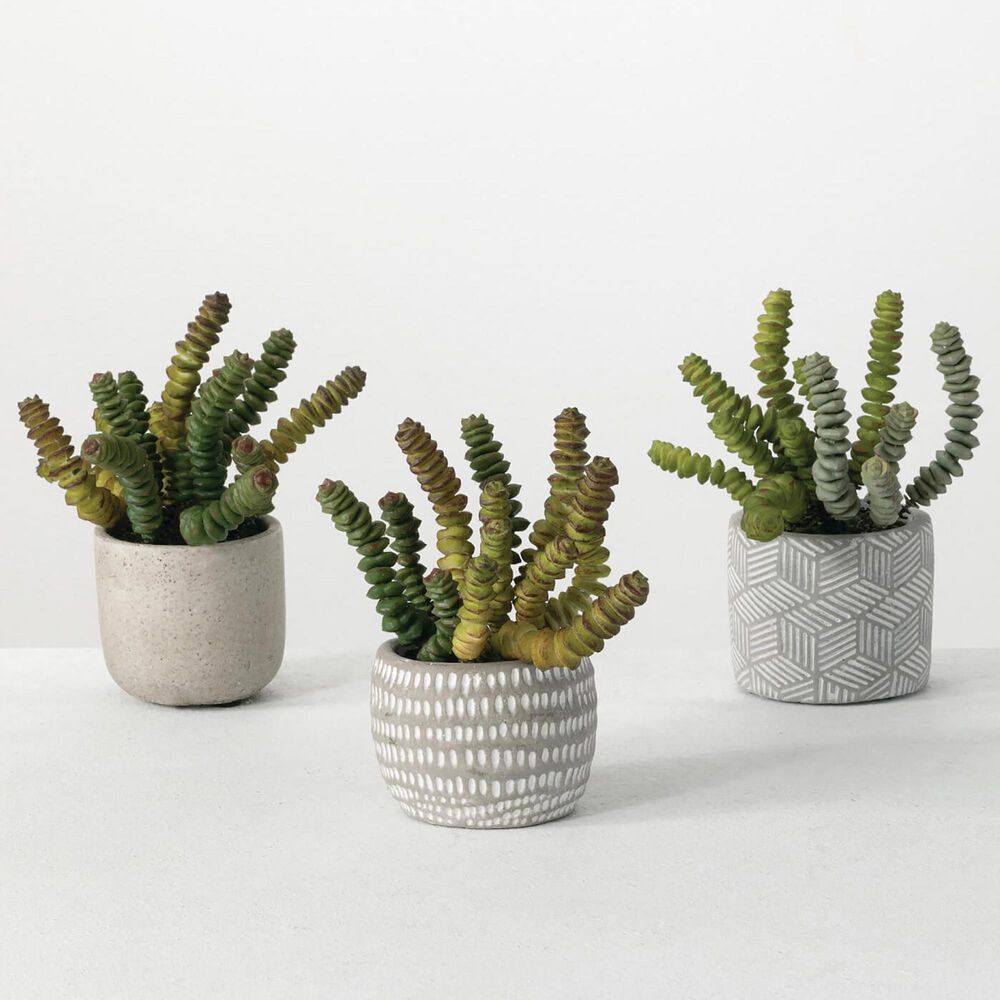 Sullivan Potted Succulents in Green (Set of 3), , large
