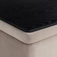 Lifestyle Solutions Kona Large Storage Ottoman in Taupe, , large