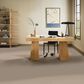 Anderson Tuftex Finery Carpet in Dusty Trail, , large