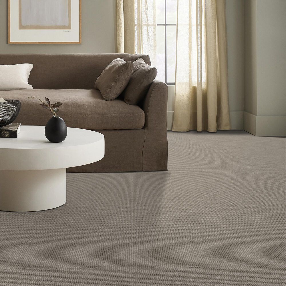 Anderson Tuftex Inspired Carpet in Gypsum, , large