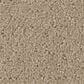 Shaw Simply Classic Carpet in Sea Shell, , large