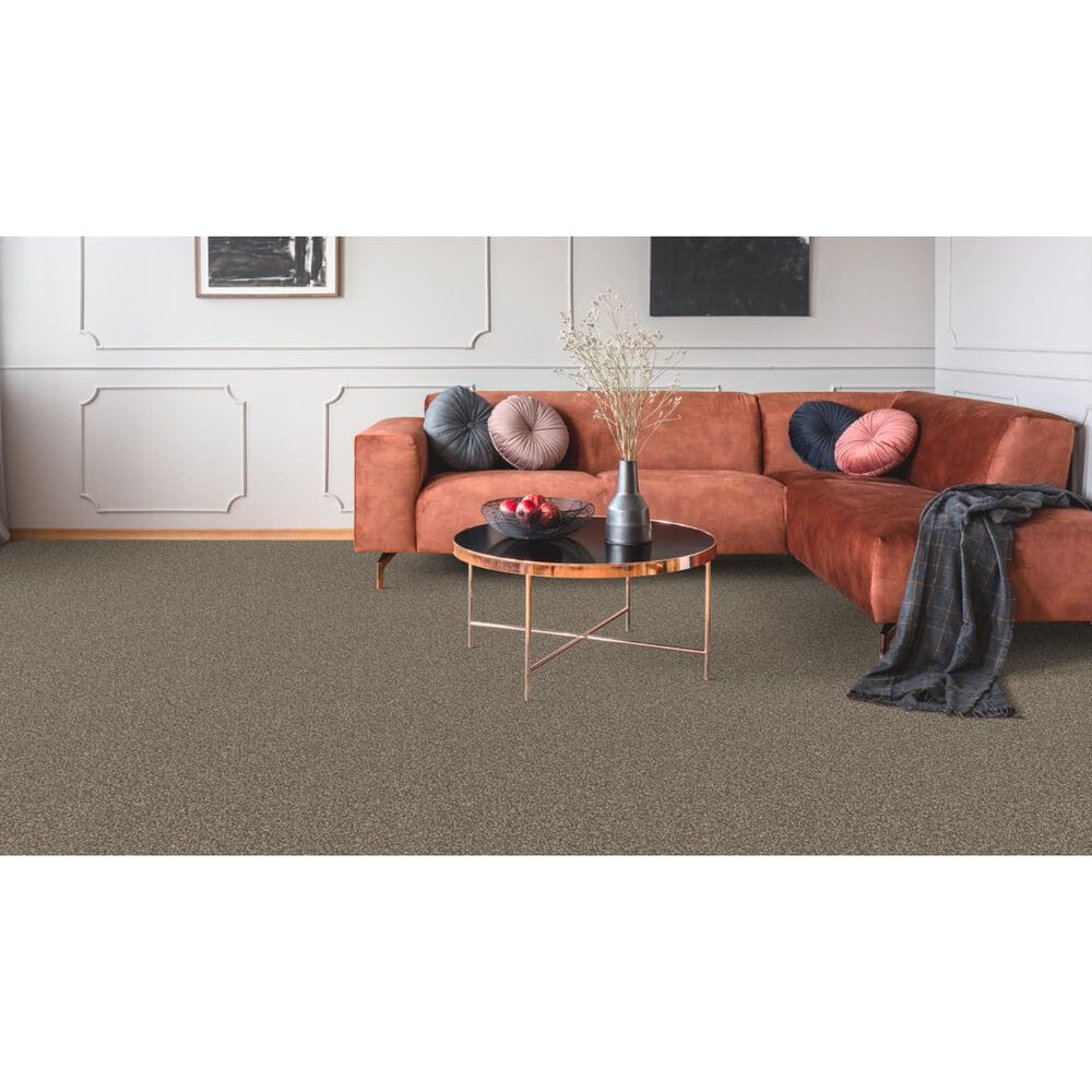 Dixie Home Bella Carpet in Pinscher, , large