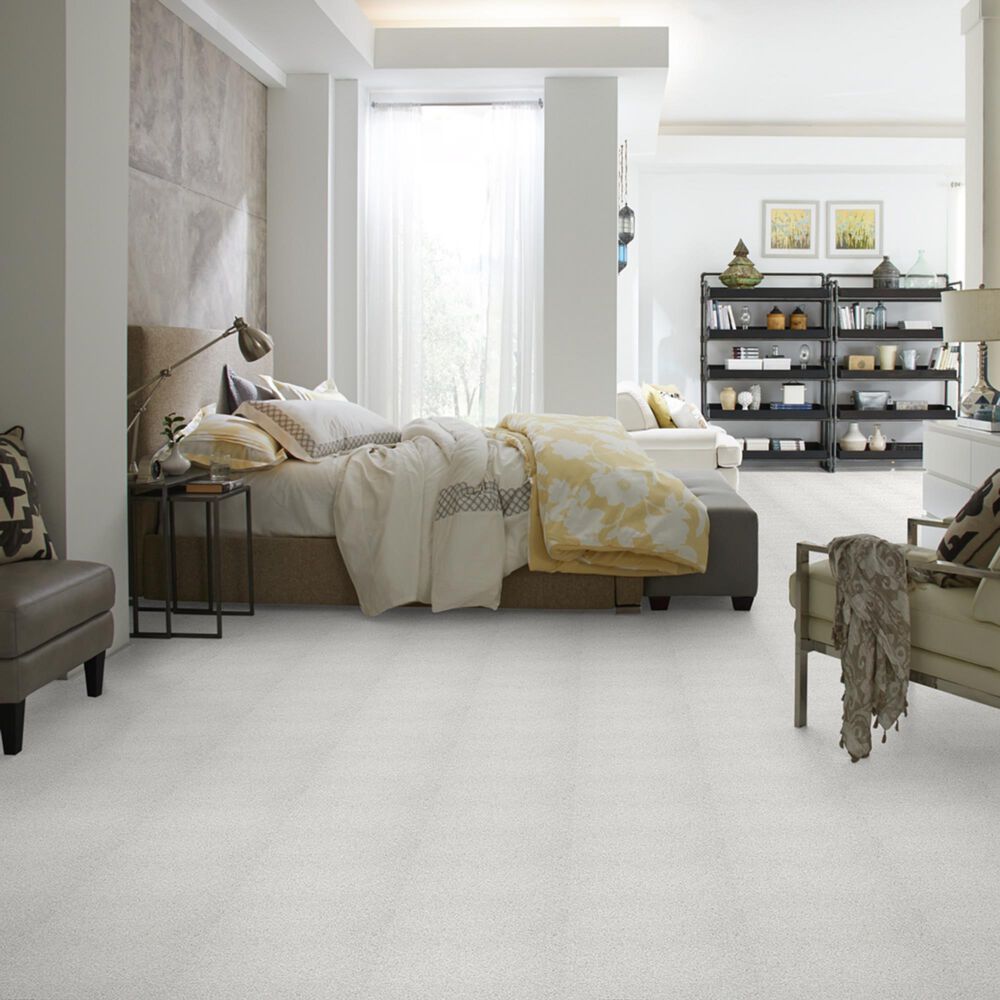 Shaw Foundations Take The Floor Tonal II Carpet in Orion, , large