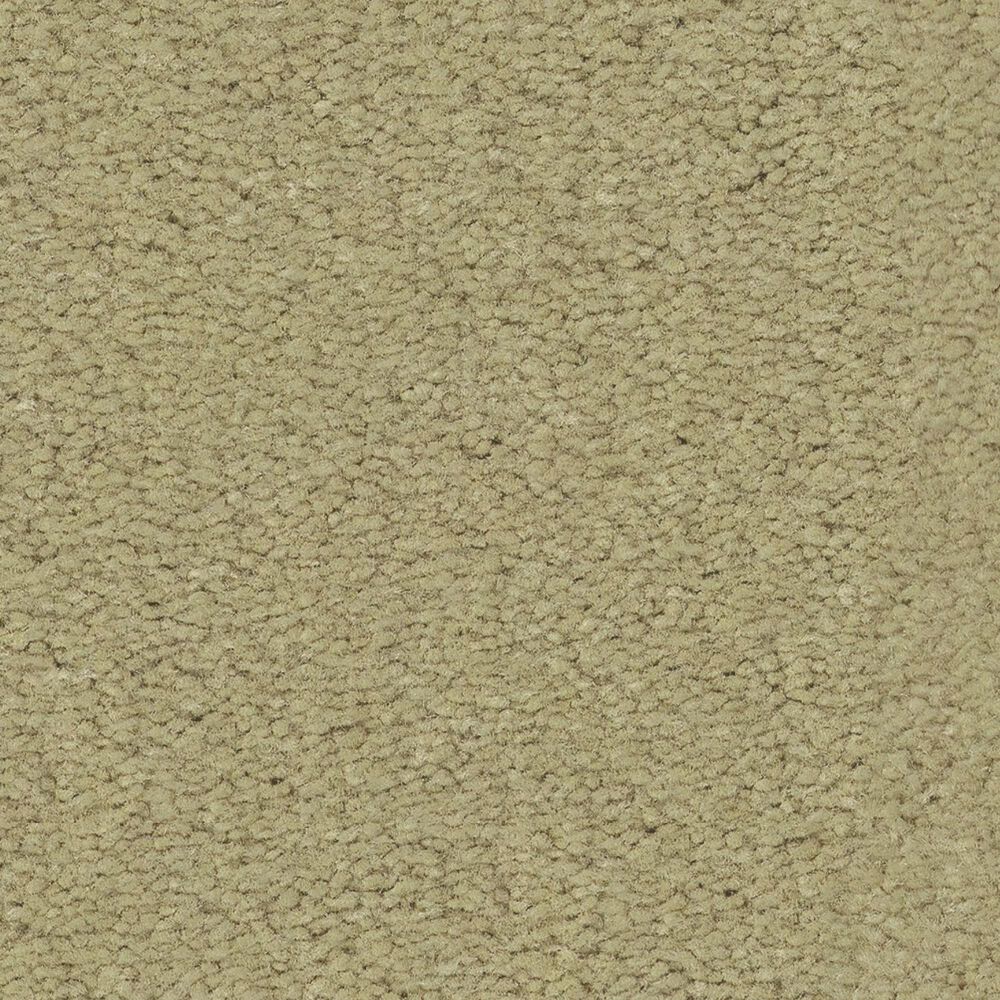 Anderson Tuftex Finery Carpet in Chartreuse, , large