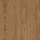 Shannon Hills Hallbrooke 1-Drawer Nightstand in Nutmeg Oak with USB Ports, , large