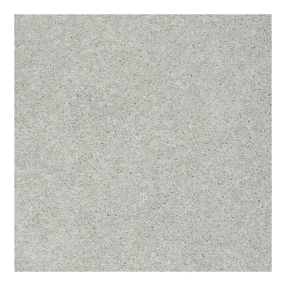 Anderson Tuftex Bear Carpet in Cape Gray, , large