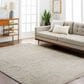 Surya Masterpiece Medium Gray, Light Gray, Cream and Ice Blue 9" x 12"2" Area Rug, , large
