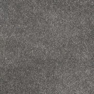 Dream Weaver Rustic Retreat II Carpet in Twilight Plains, , large