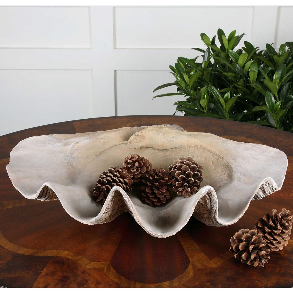 Uttermost Clam Shell Bowl, , large