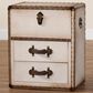 Baxton Studio Agatha 2-Drawer Storage Trunk in Beige, , large