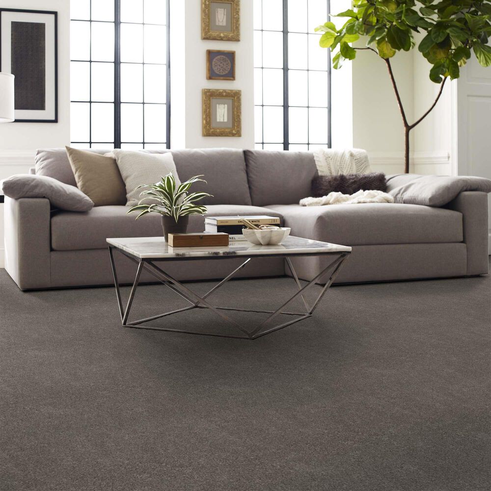 Shaw Calm Simplicity I Carpet in Desert View, , large