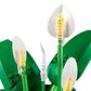 LEGO Botanicals Peace Lily Building Set, , large