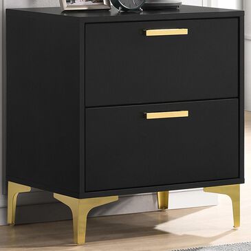 Pacific Landing Kendall 2-Drawer Nightstand in Black and Gold, , large