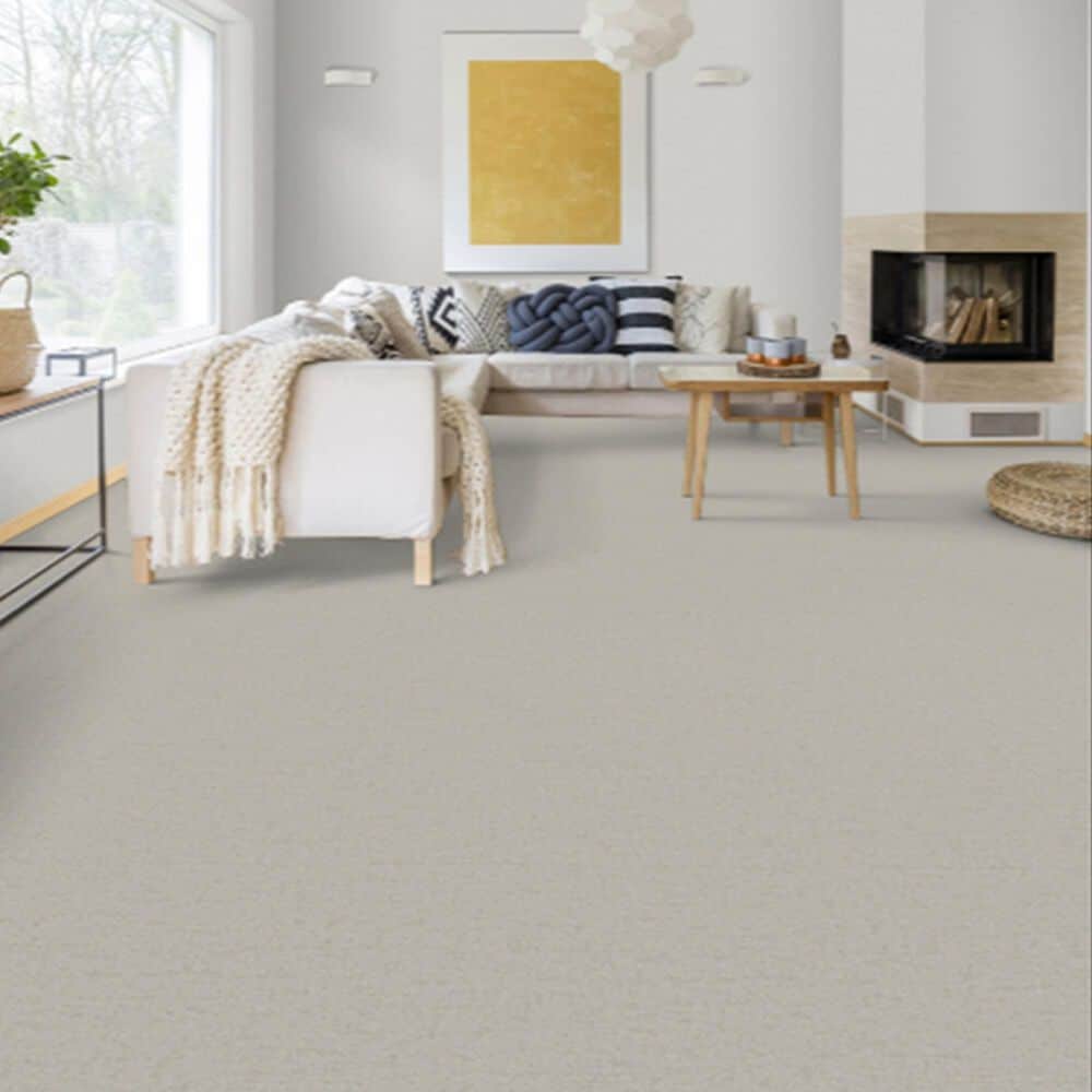 Dixie Home Genuine Carpet in Natural, , large