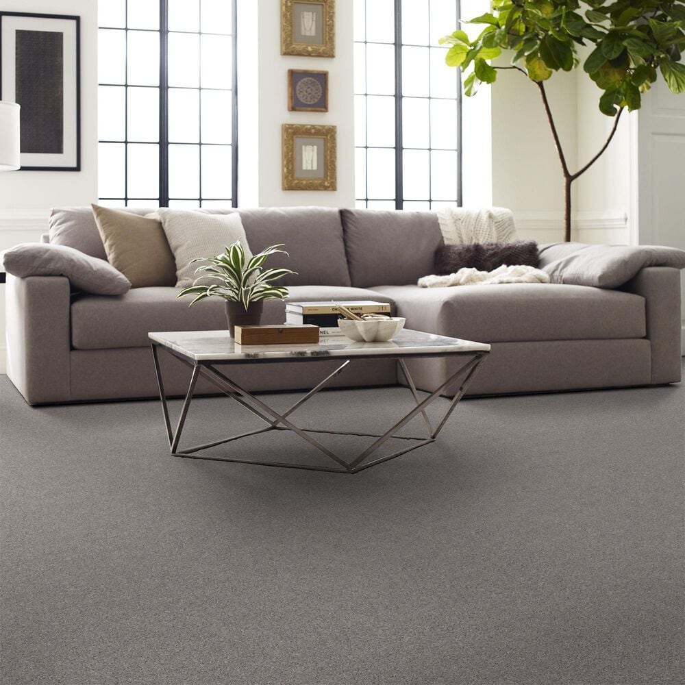 Shaw Inlet Shore I Carpet in Brushed Nickel, , large