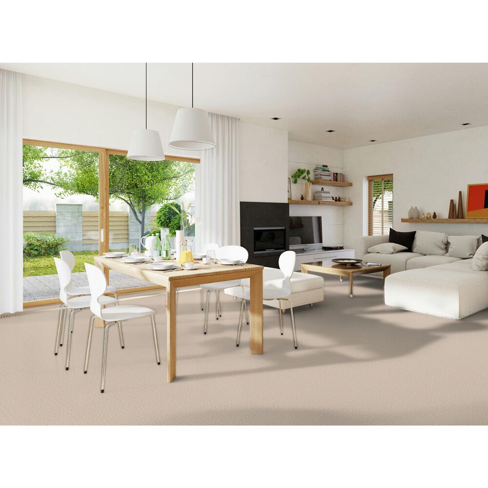 Dream Weaver East Hampton 2550 Carpet in Oxford, , large
