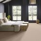 Anderson Tuftex Rhode Carpet in French Buff, , large