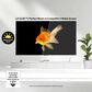 LG 77" Class C5 Series 4K OLED evo AI - Smart TV with 3.1.1 Channel Soundbar System in Black, , large
