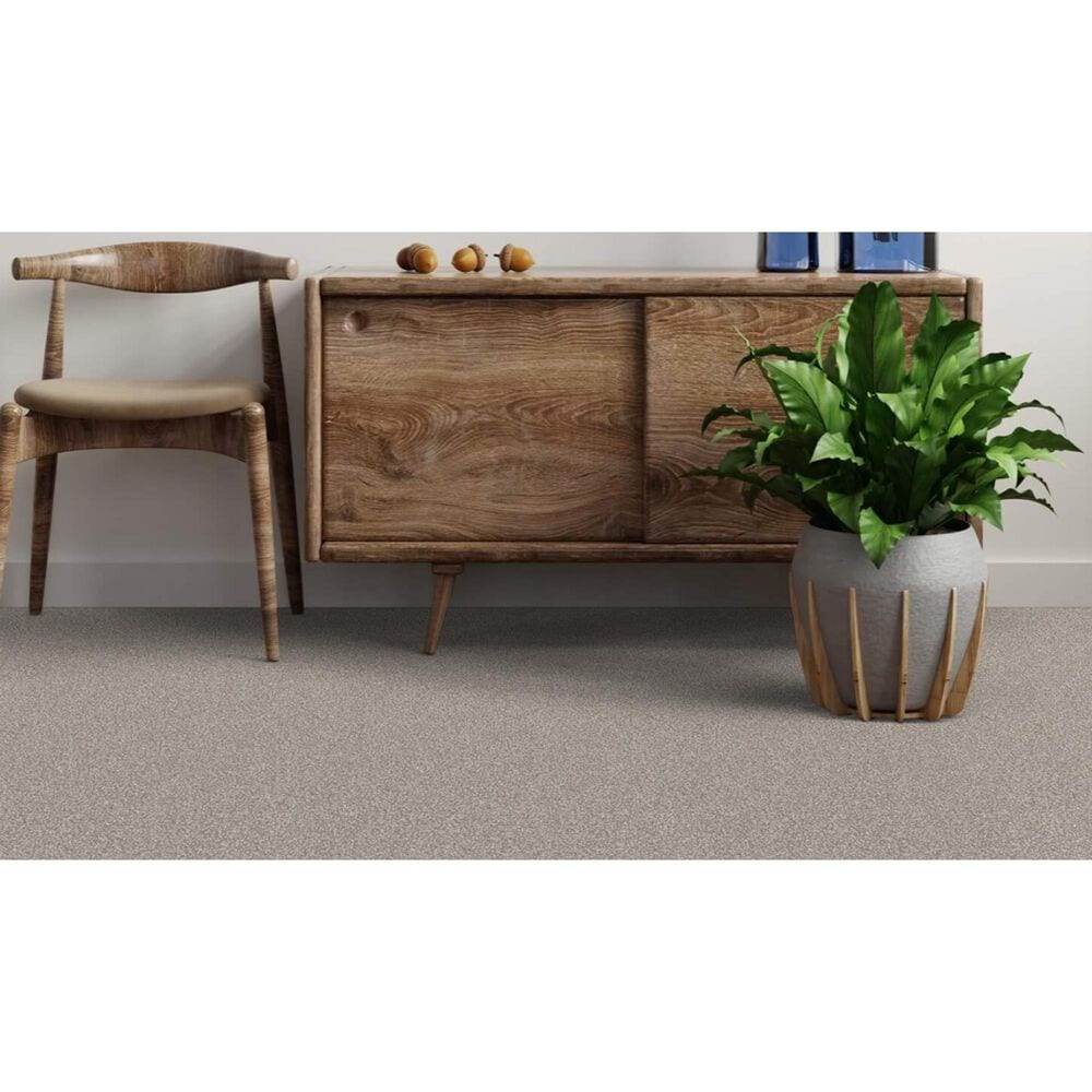 Dixie Home Bella Carpet in Yorkie, , large