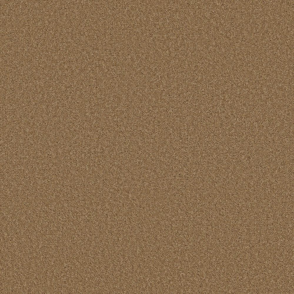 Shaw Las Cruces Carpet in Radiance, , large