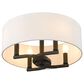 Golden Lighting Eliana 4-Light Semi-Flush in Matte Black, , large
