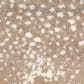 Fabrica Habitat Carpet in Wildebeest, , large