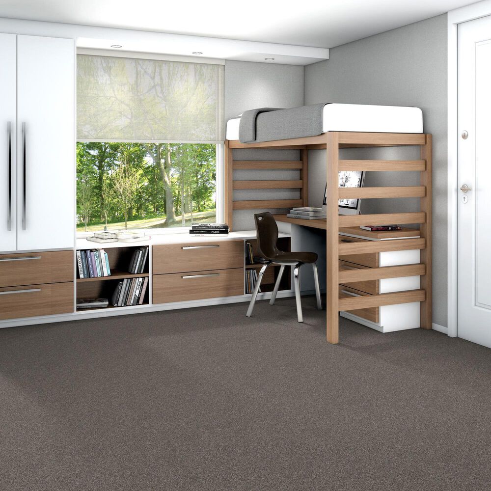 Shaw Yes You Can III Carpet in Marble, , large