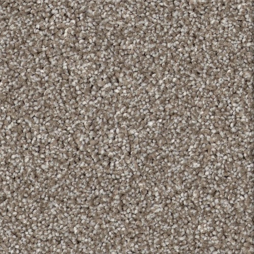 Shaw New Memories T Carpet in Mocha, , large