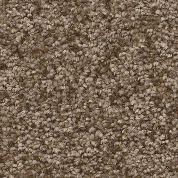 Shaw You Got This III Carpet in Mission Ridge, , large