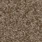 Shaw You Got This III Carpet in Mission Ridge, , large