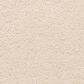 Masland Roadster Carpet in Beautiful, , large