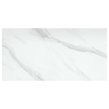 Emser Nobleza Astorga 12" x 24" Porcelain Tile, , large