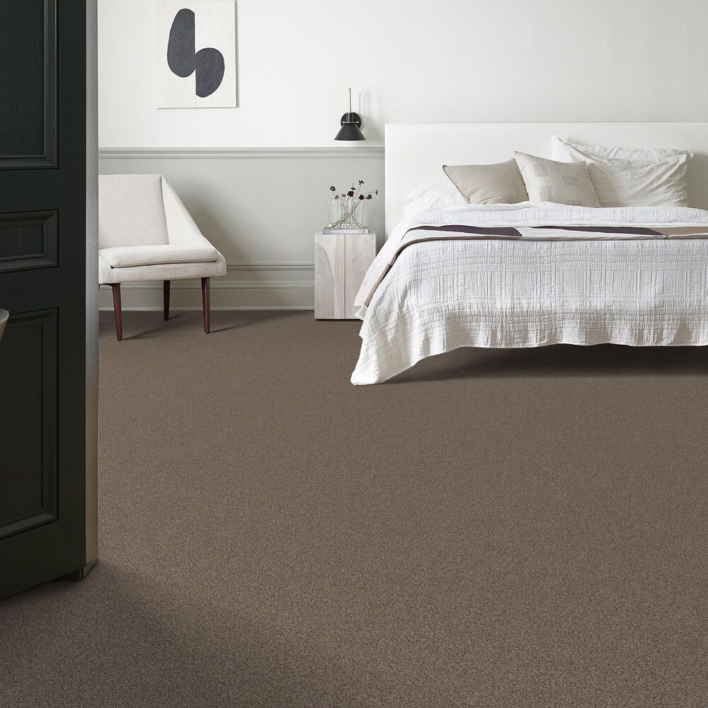 Anderson Tuftex Terra Nova Carpet in Palm Desert, , large