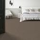 Anderson Tuftex Terra Nova Carpet in Palm Desert, , large